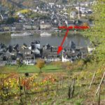 Mosel Ferienhaus Rosa am Weinberg